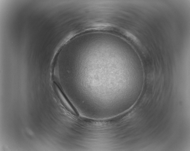 X0000070361362200606121158