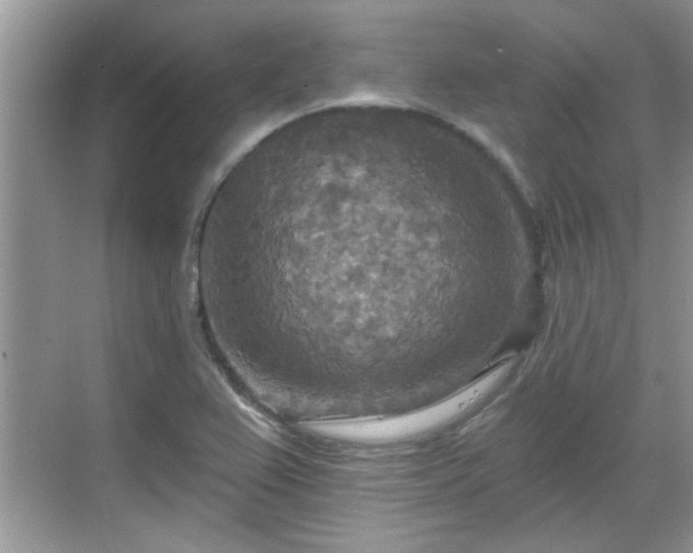 X0000070361367200606121158