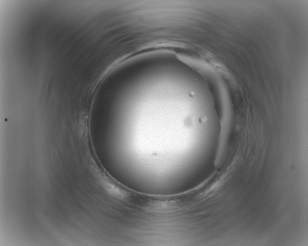 X0000070361369200606121158