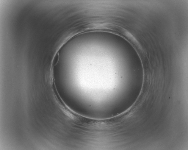 X0000070361370200606121158