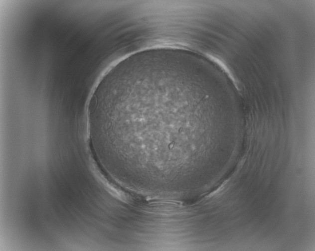 X0000070361371200606121158