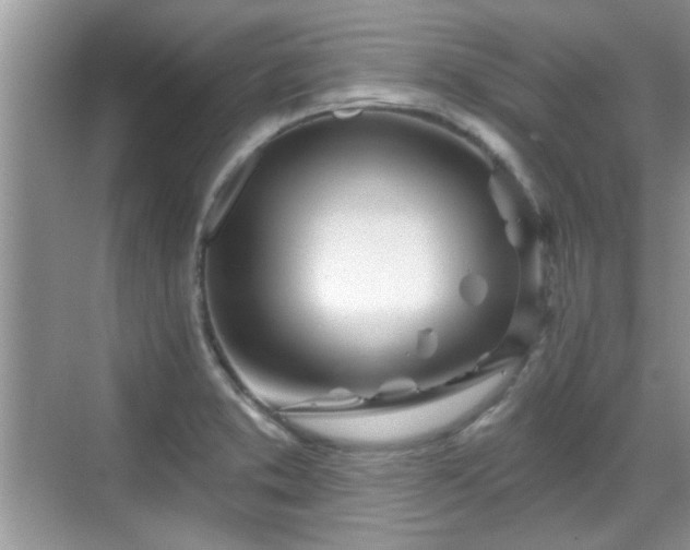 X0000070361373200606121158