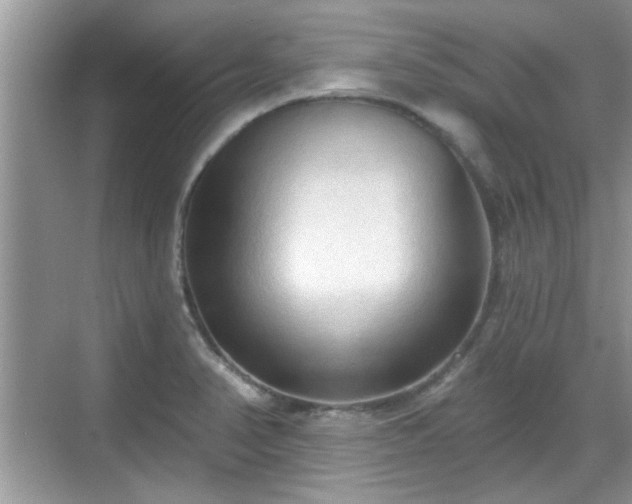 X0000070361374200606121158