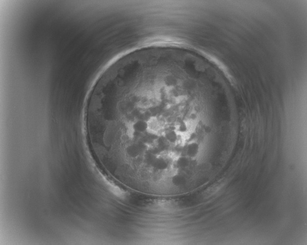 X0000070361375200606121158