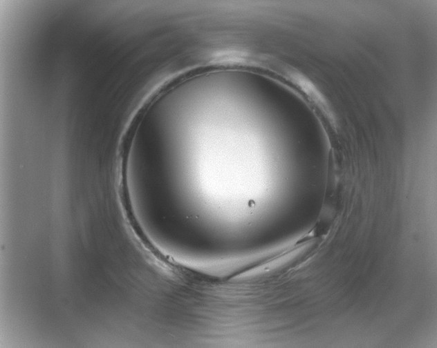 X0000070361376200606121158