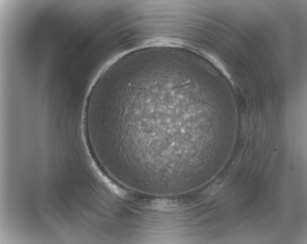 X0000070361379200606121158