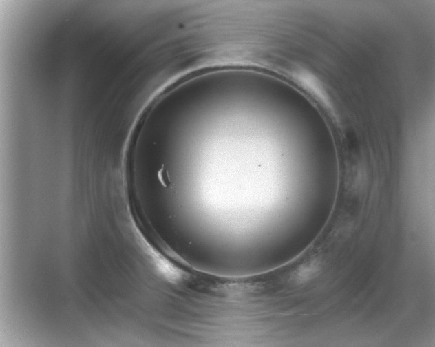 X0000070361380200606121158