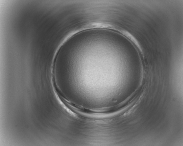 X0000070361381200606121158