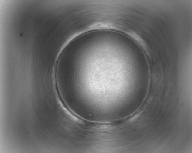 X0000070361382200606121158