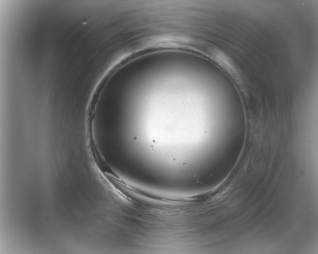 X0000070361384200606121158