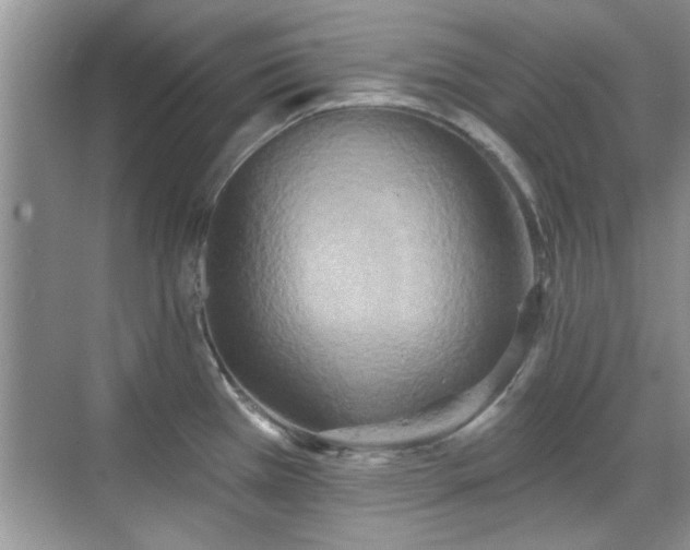 X0000070361385200606121158