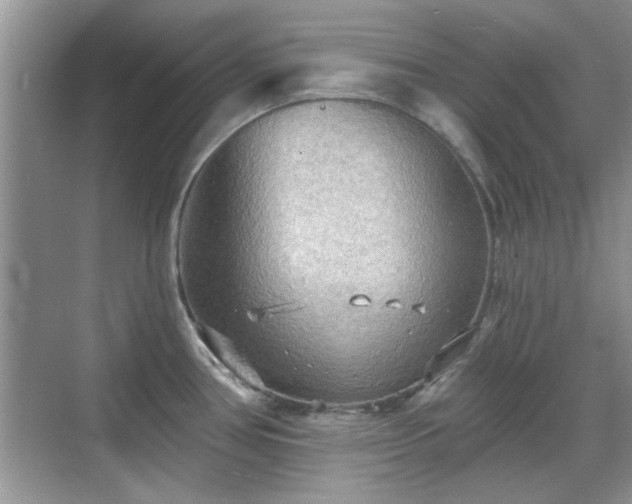 X0000070361386200606121158