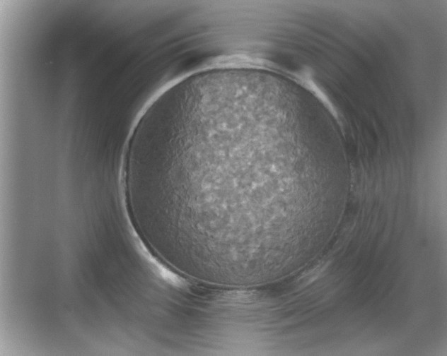 X0000070361387200606121158