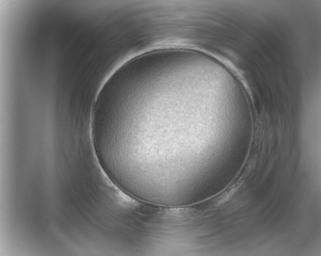 X0000070361390200606121158