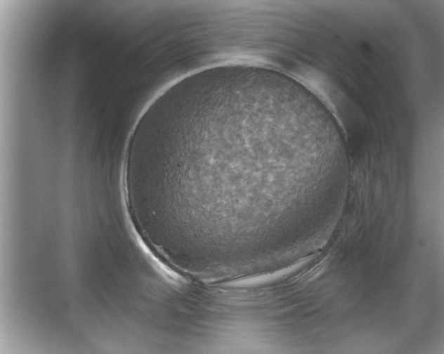 X0000070361391200606121158