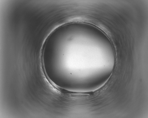 X0000070361392200606121158