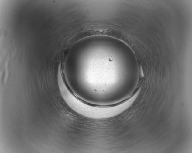 X0000070361394200606121157