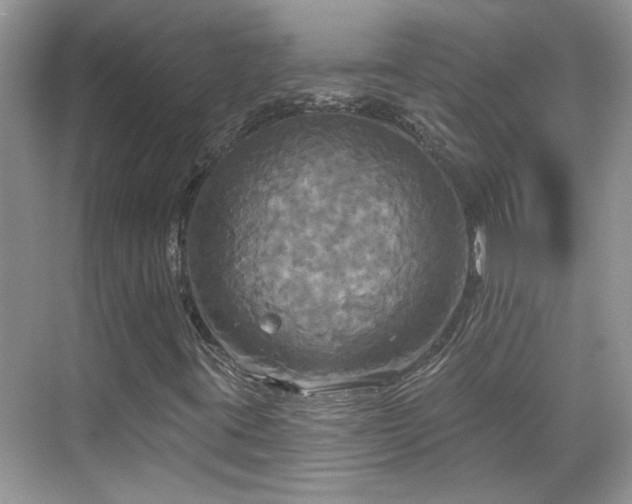 X0000070361395200606121157