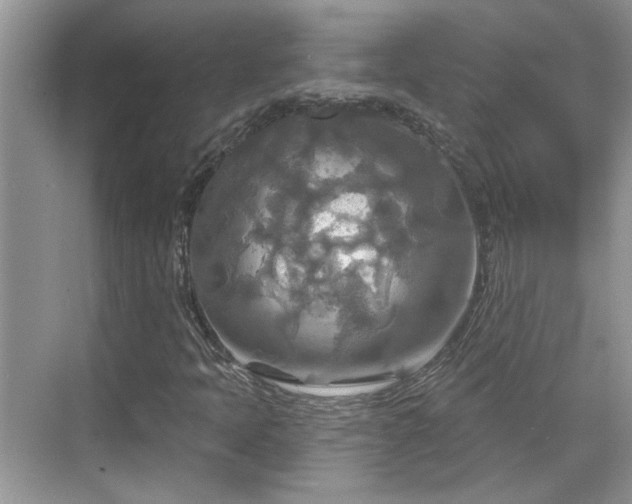 X0000070361397200606121157