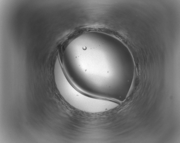 X0000070361398200606121157