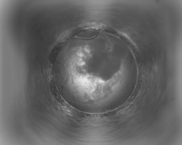 X0000070361399200606121157