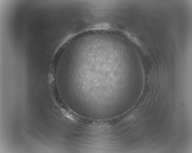 X0000070361400200606121157