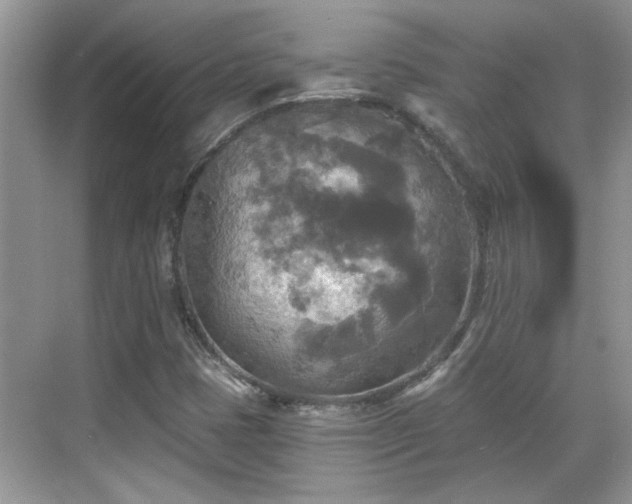 X0000070361401200606121157