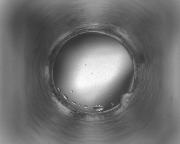 X0000070361402200606121157