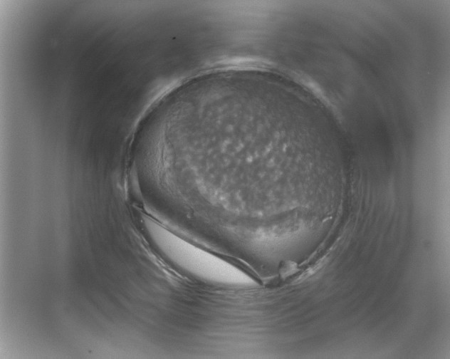 X0000070361405200606121157