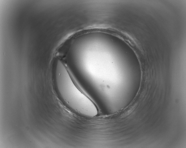 X0000070361406200606121157