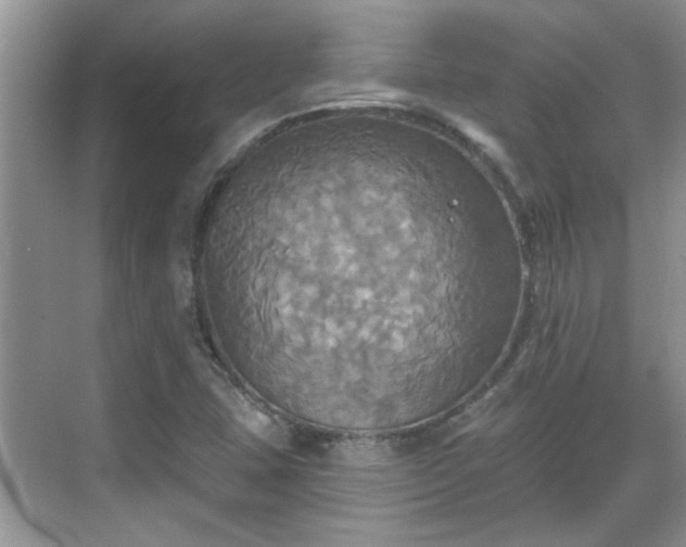 X0000070361407200606121157