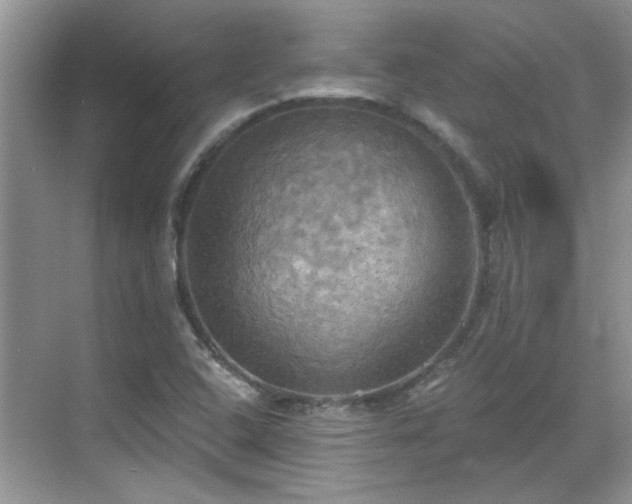 X0000070361408200606121157