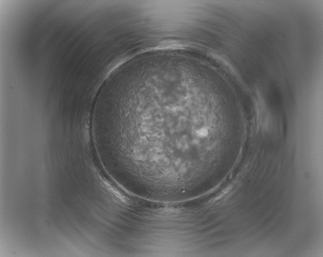 X0000070361409200606121157