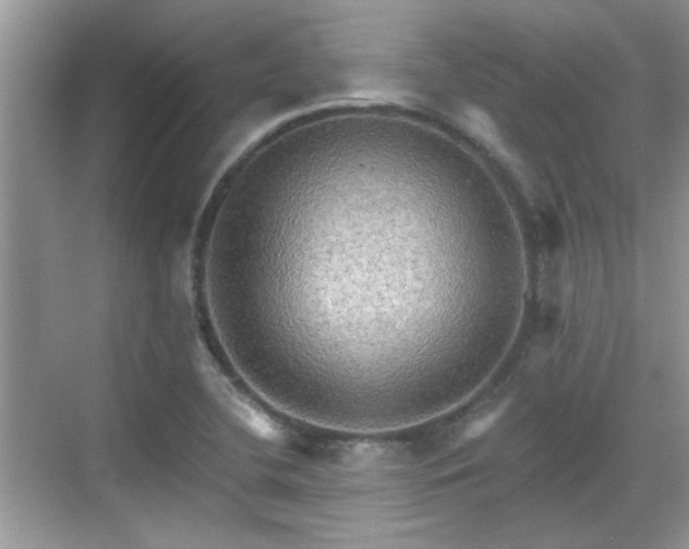 X0000070361412200606121157