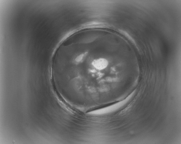 X0000070361413200606121157