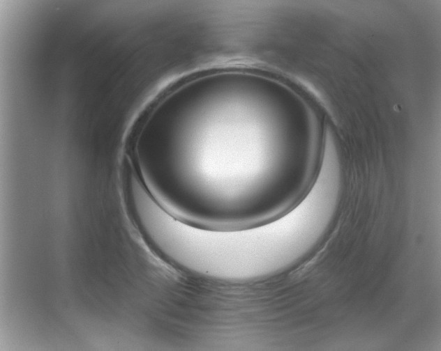 X0000070361414200606121157