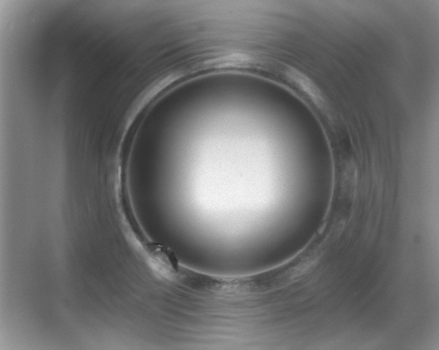 X0000070361418200606121157