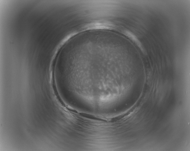 X0000070361419200606121157