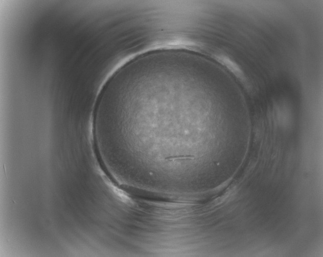 X0000070361420200606121157