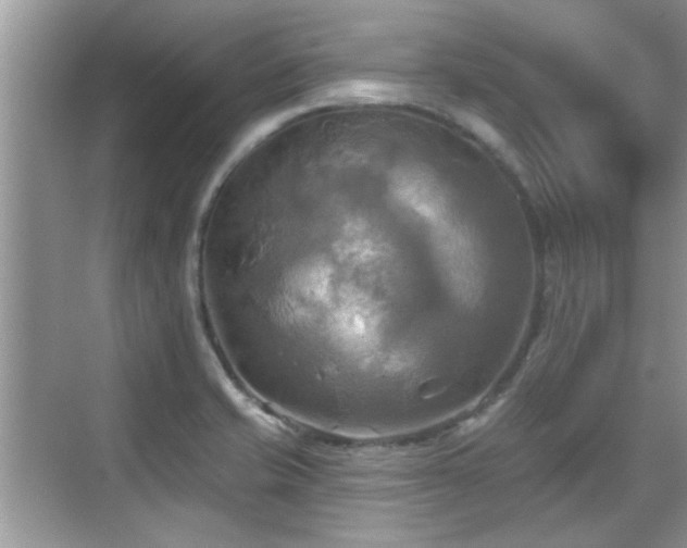 X0000070361421200606121157