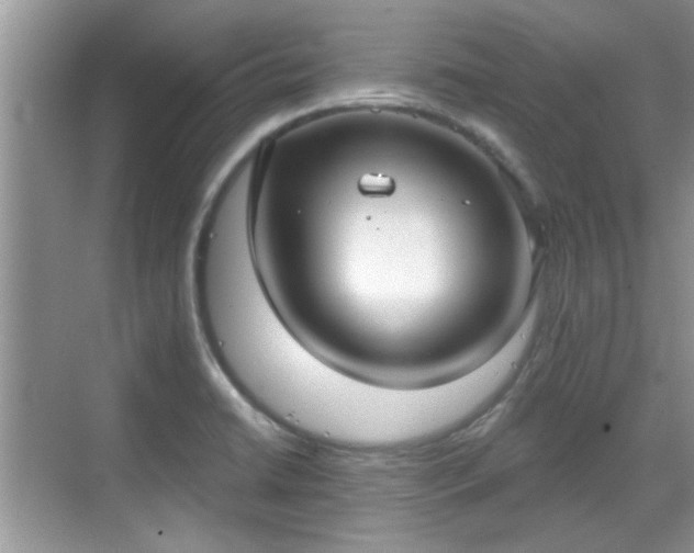 X0000070361422200606121157