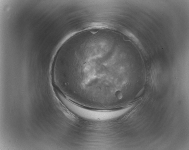 X0000070361427200606121157