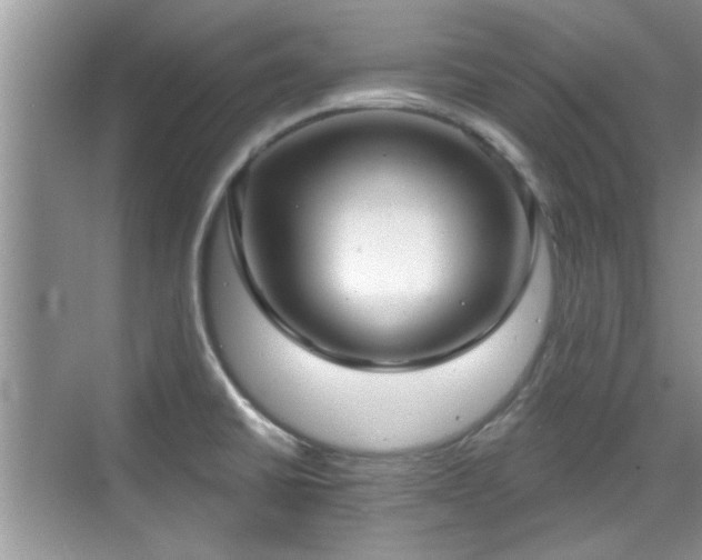 X0000070361430200606121157