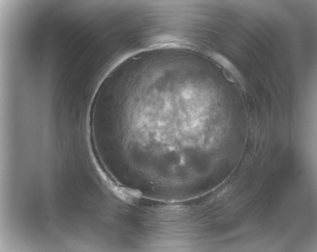 X0000070361431200606121157