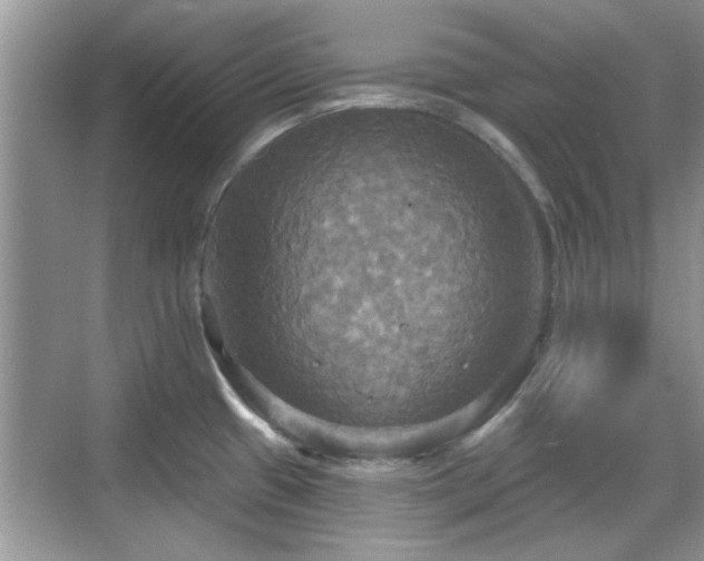 X0000070361433200606121157