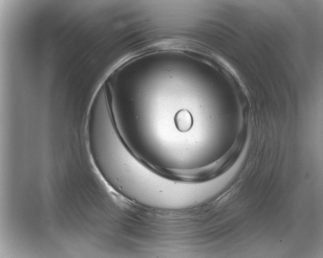 X0000070361434200606121157