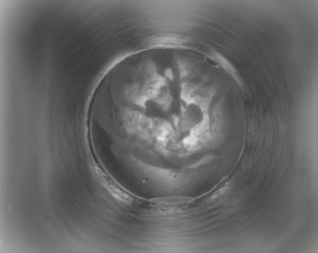 X0000070361435200606121158