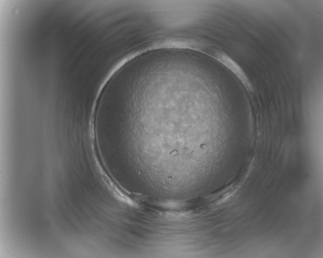 X0000070361436200606121158