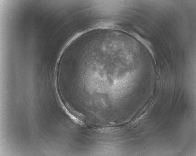 X0000070361437200606121158