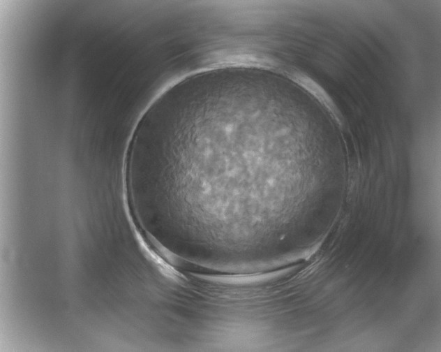 X0000070361439200606121158